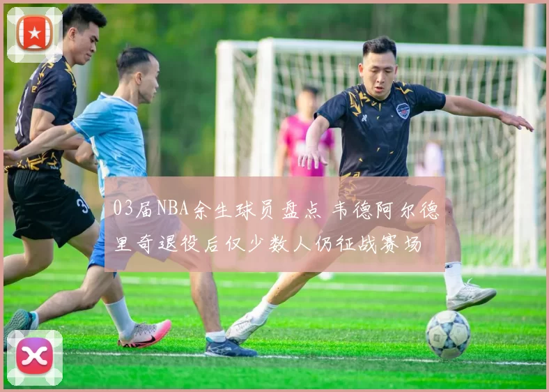 03届NBA余生球员盘点 韦德阿尔德里奇退役后仅少数人仍征战赛场