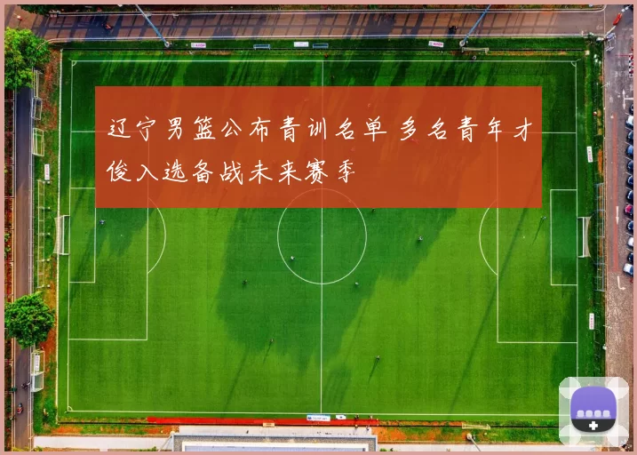 辽宁男篮公布青训名单 多名青年才俊入选备战未来赛季
