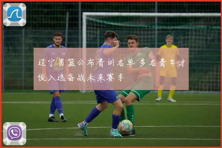 辽宁男篮公布青训名单 多名青年才俊入选备战未来赛季