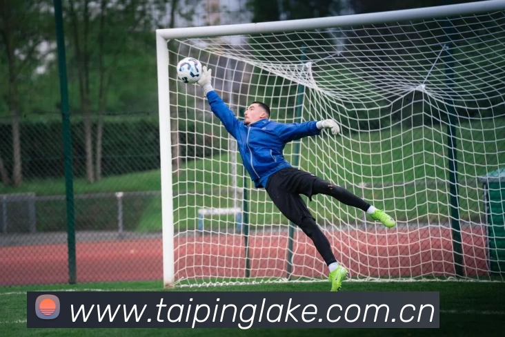 开云官方版网站登录入口 - 开云(中国)服务体系