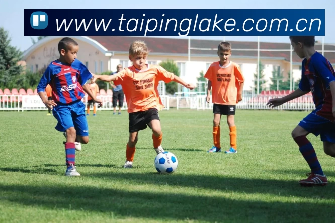 开云(中国)Kaiyun·官方网站 - 登录入口APP 封面图